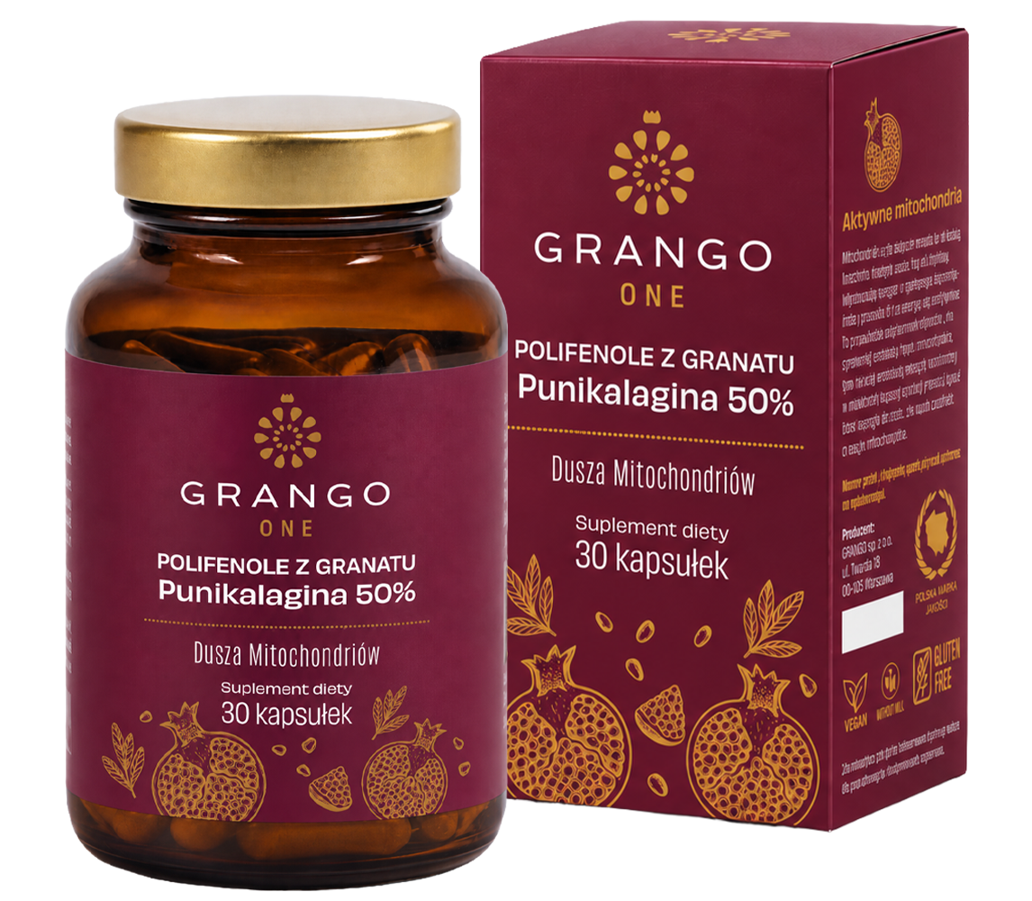 GRANGO® ONE - obrazek 2