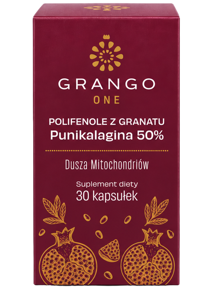 GRANGO® ONE - obrazek 3