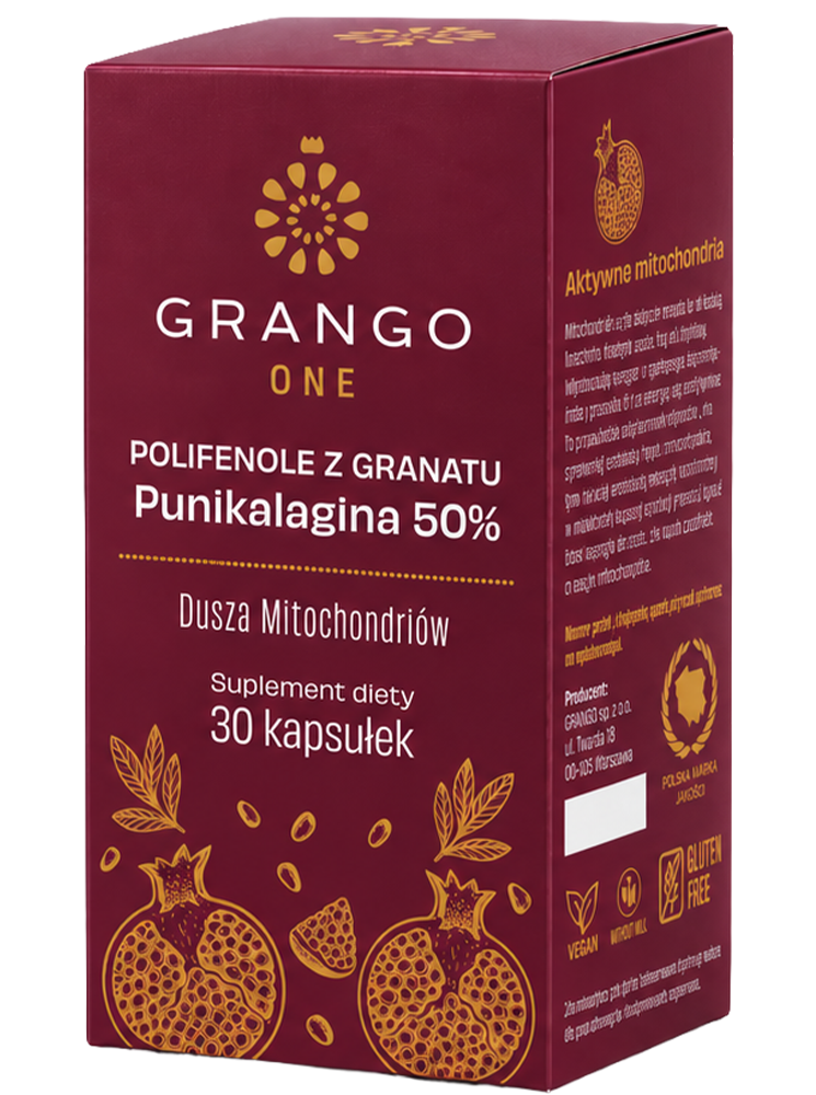 GRANGO® ONE - obrazek 4