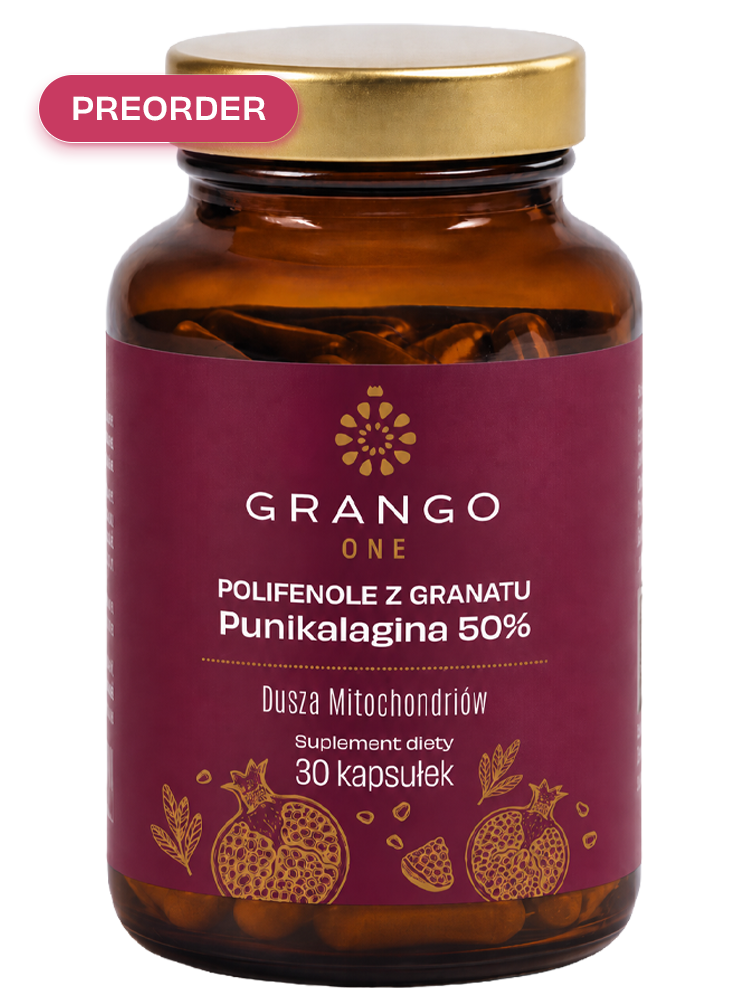 GRANGO® ONE